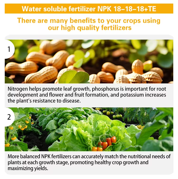 NPK18 18 18 Feature description