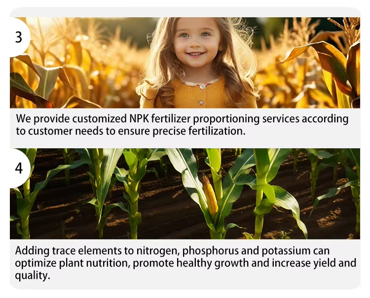 NPK 30-10-10+TE Four major features