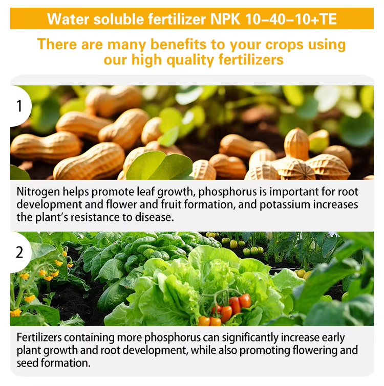 NPK 10-40-10+TE water-soluble fertilizer Description of product features 1