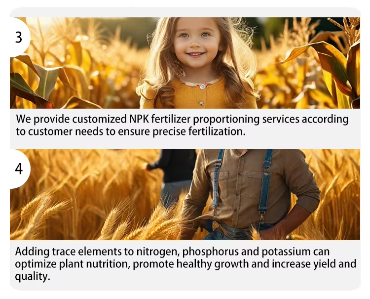 NPK 10-40-10+TE water-soluble fertilizer Description of product features 2