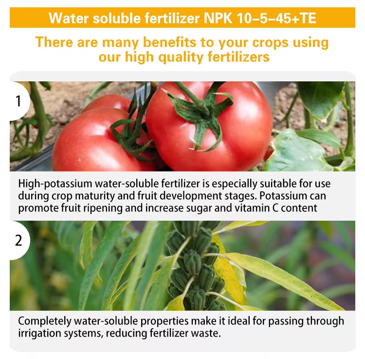 NPK 10-5-45+TE water-soluble fertilizer Description of product features 1