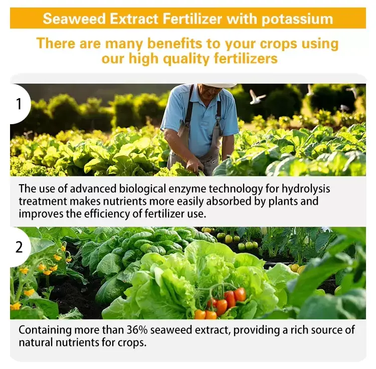 Seaweed extract with potassium Description of product features 1