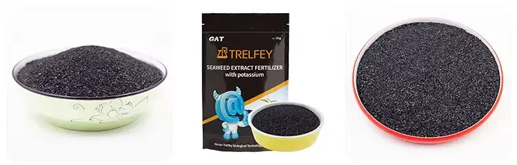 Seaweed extract with potassium Product real shot display