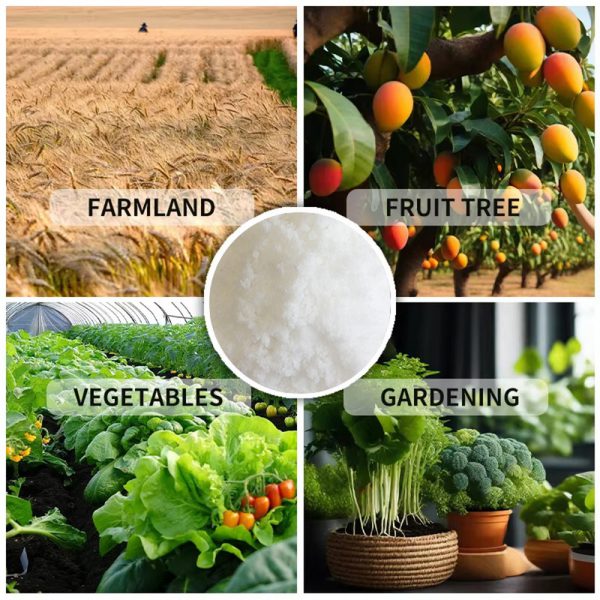NPK 10-40-10+TE Water-Soluble Fertilizer–Trelfey™ - Image 8