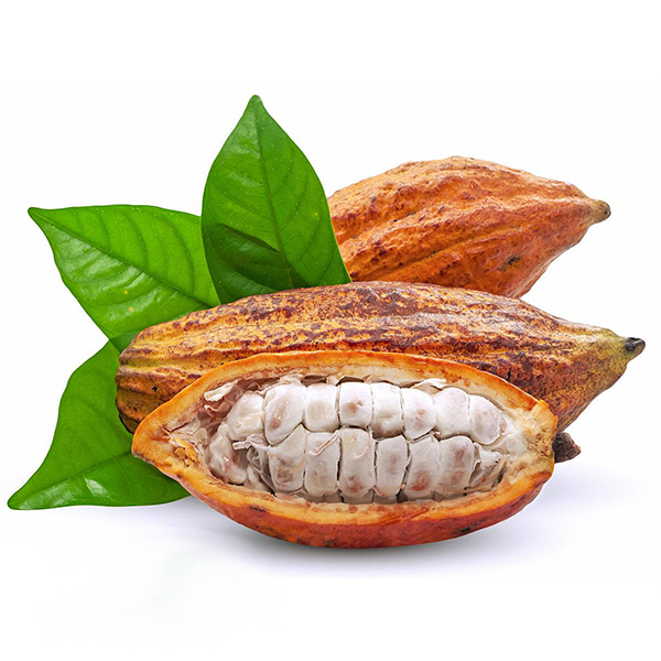 cocoa 3