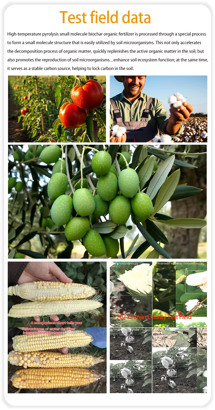 Small Molecule Organic Fertilizer Comparison of effects after use
