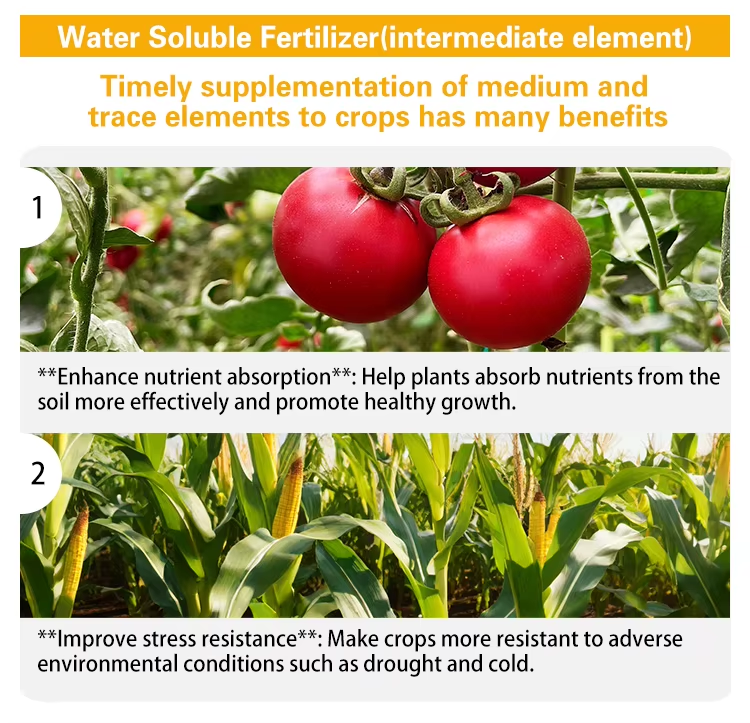 Amino Acid Functional Fertilizer Four major features