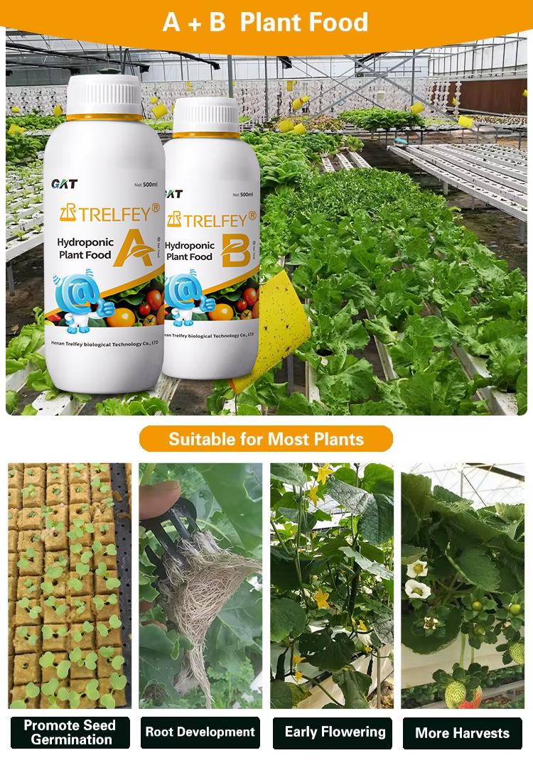 Hydroponic nutrient A+B fertilizer Usage and dosage