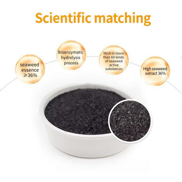 Seaweed Extract with Potassium-Trelfey™ - Image 3