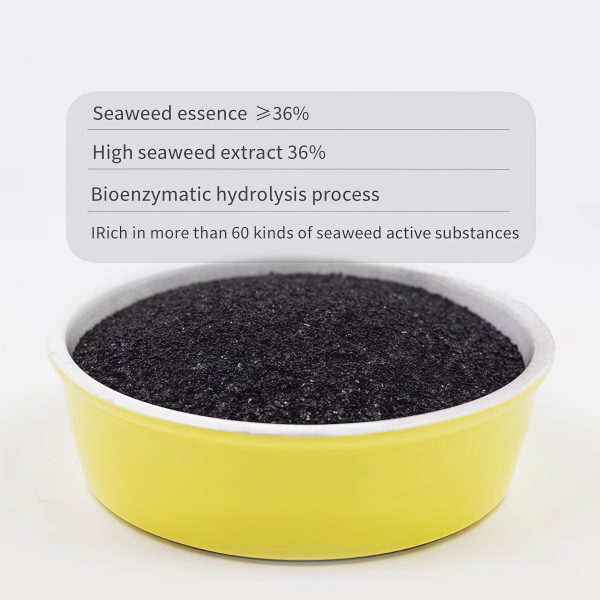 Seaweed Extract with Potassium-Trelfey™ - Image 4