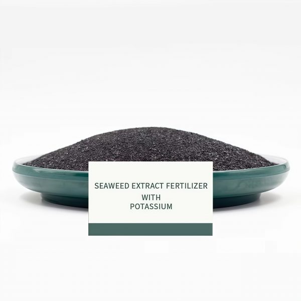 Seaweed Extract with Potassium