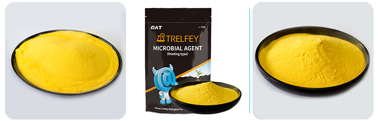 Microbial Agent Rooting Type Product real shot display