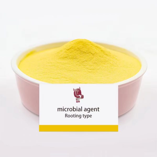 Microbial Agent Rooting Type - Image 3