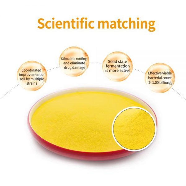 Microbial Agent Rooting Type - Image 4