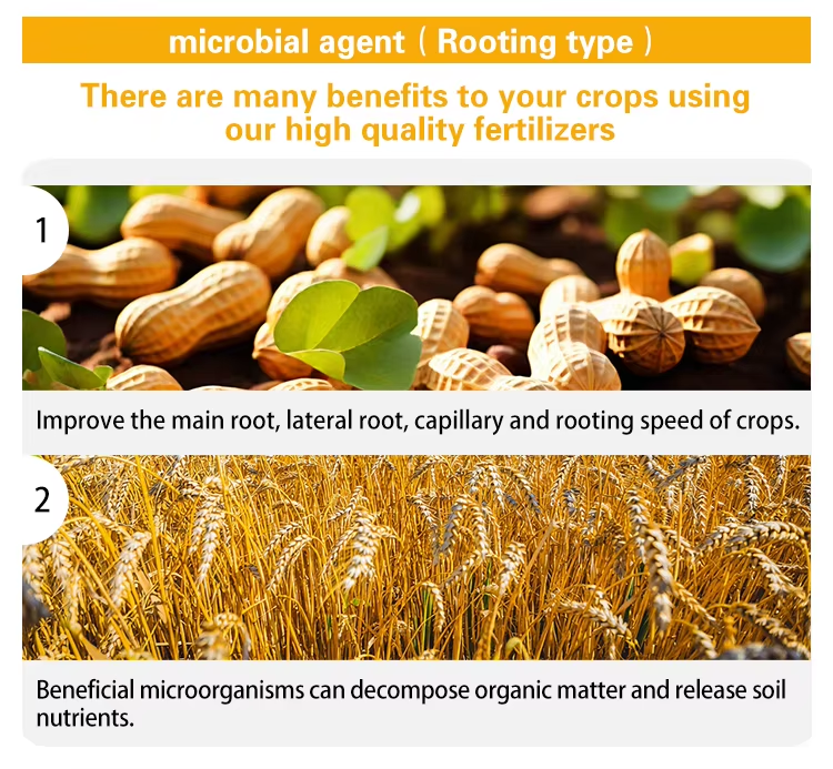 Microbial Agent Rooting Type Description of product features 1