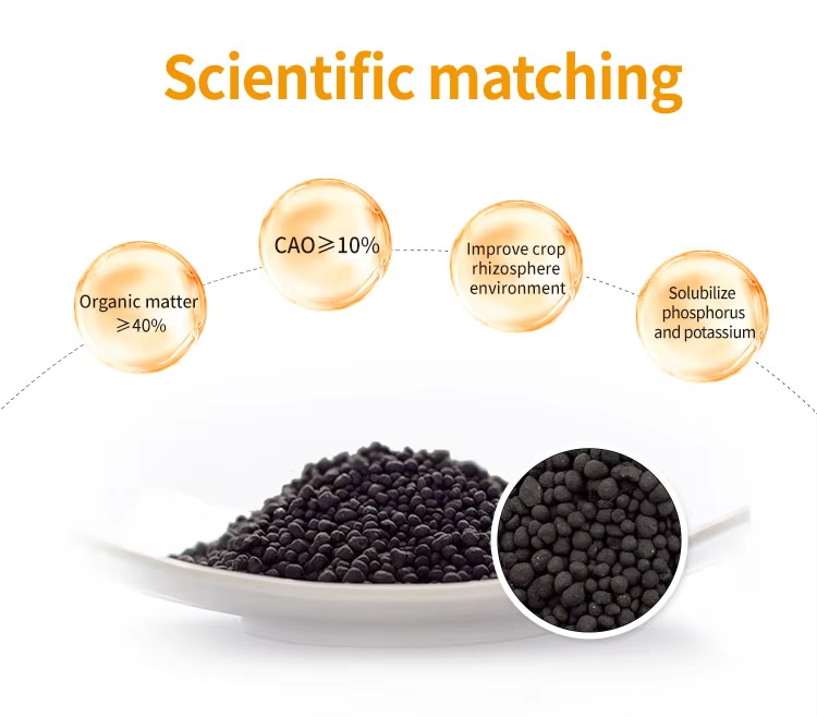 Microbial Bio-Organic Fertilizer Four major features
