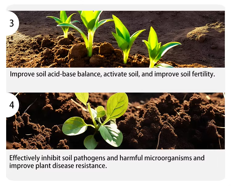 Inhibit Root Knot Nematode Description of product features 2