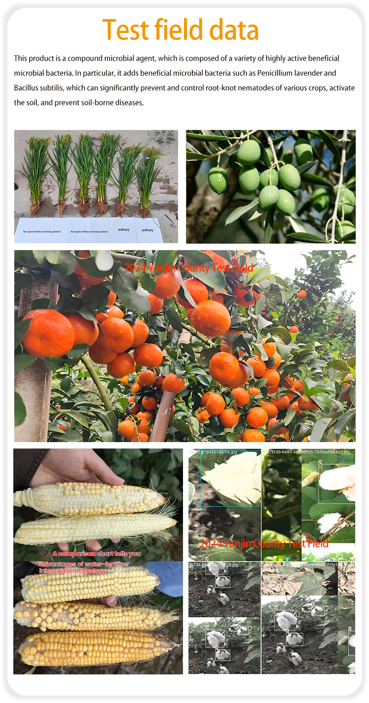 Inhibit Root Knot NematodeComparison of effects after use