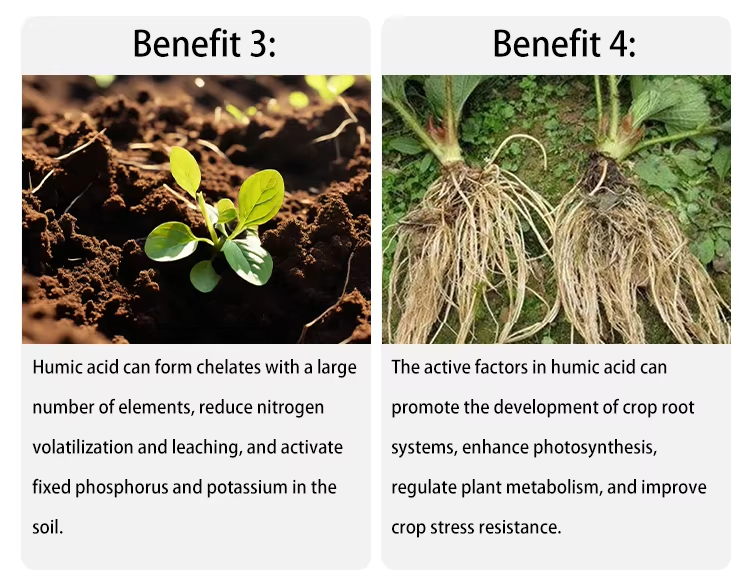 Humic Acid Liquid Fertilizer Four major features 1