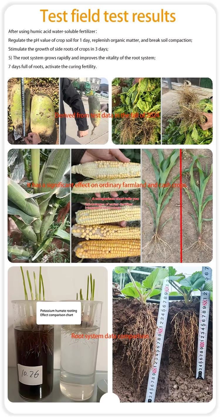 Humic Acid Liquid Fertilizer Comparison of effects after use