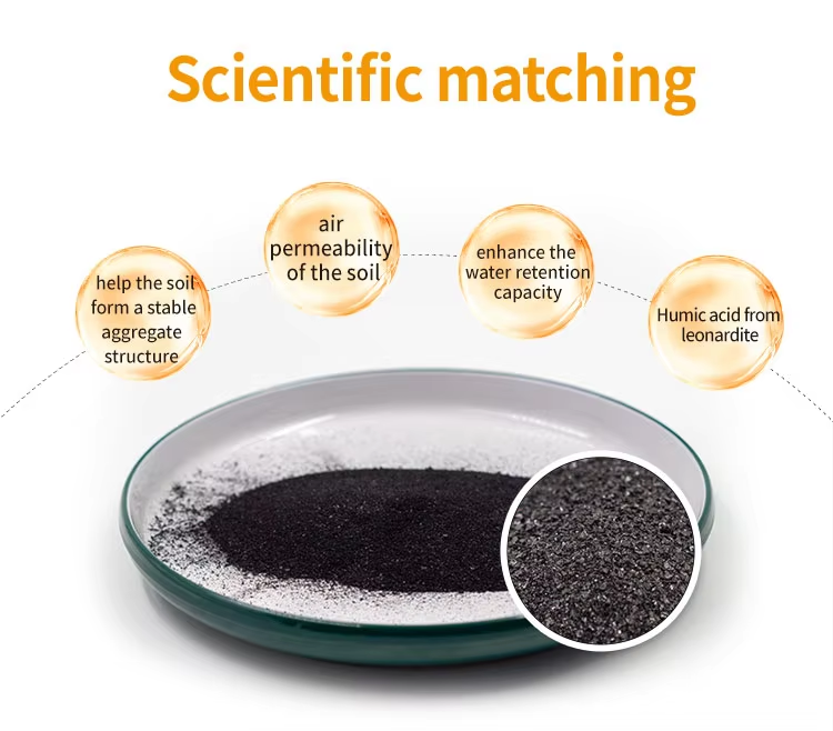 Lignite Humic Acid Powder Four major features