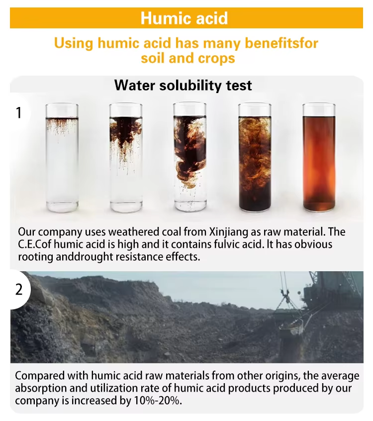 Lignite Humic Acid Powder Description of product features 1
