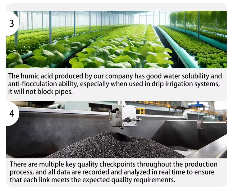 Lignite Humic Acid Powder Description of product features 2