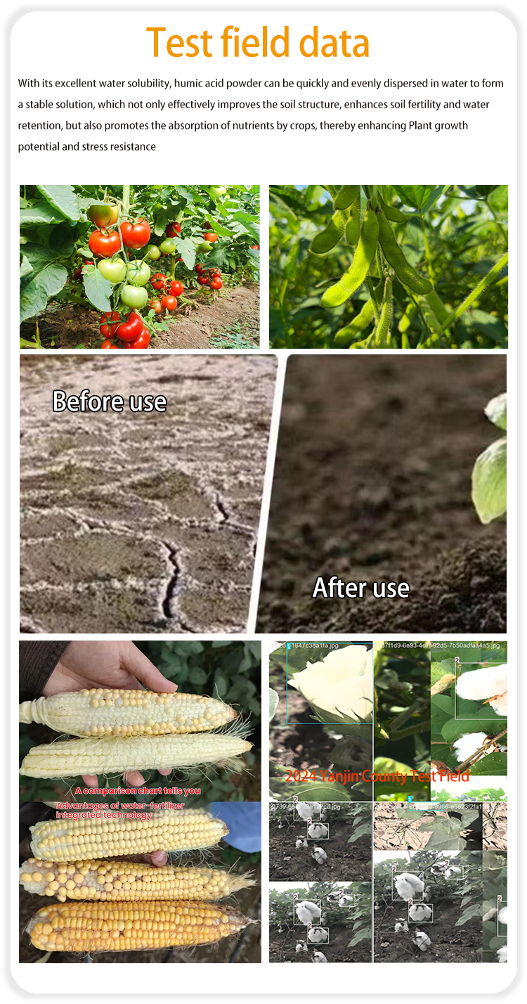 Lignite Humic Acid Powder Comparison of effects after use 1