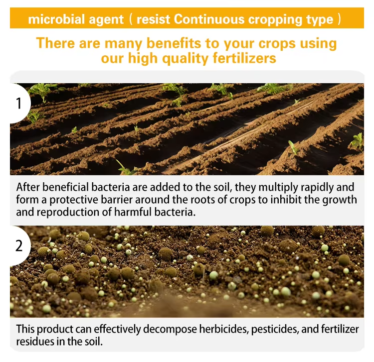 Anti-continuous cropping microbial agent Description of product features 1