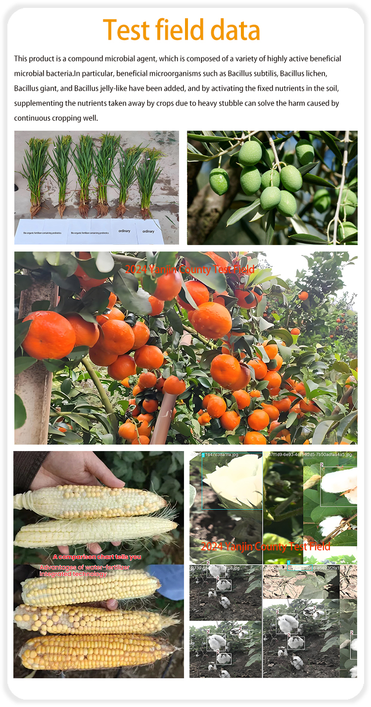 Anti-continuous cropping microbial agent Comparison of effects after use