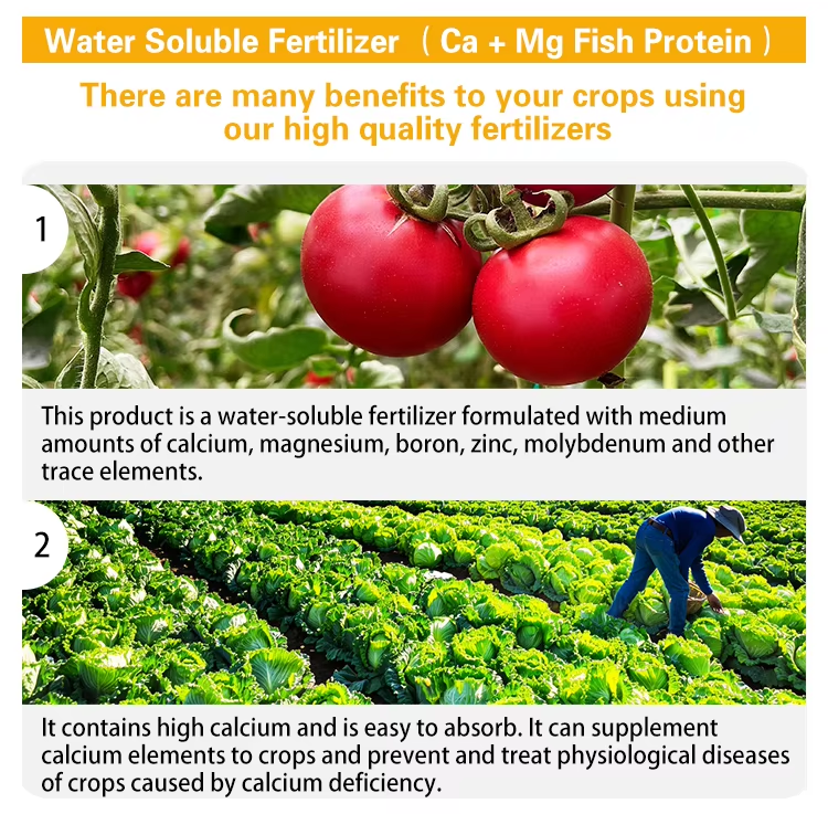 Fish Protein Functional Fertilizer Four major features