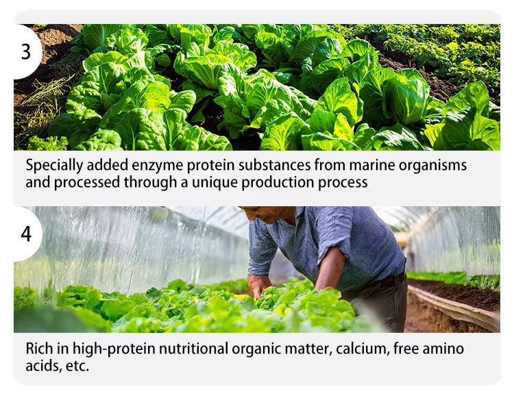 Fish Protein Functional Fertilizer Four major features