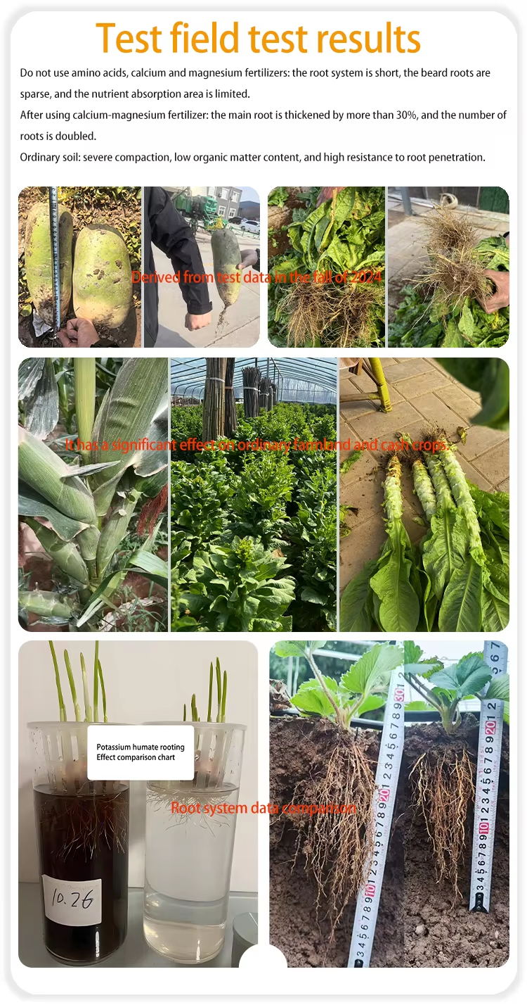 Fish Protein Functional Fertilizer Comparison of effects after use