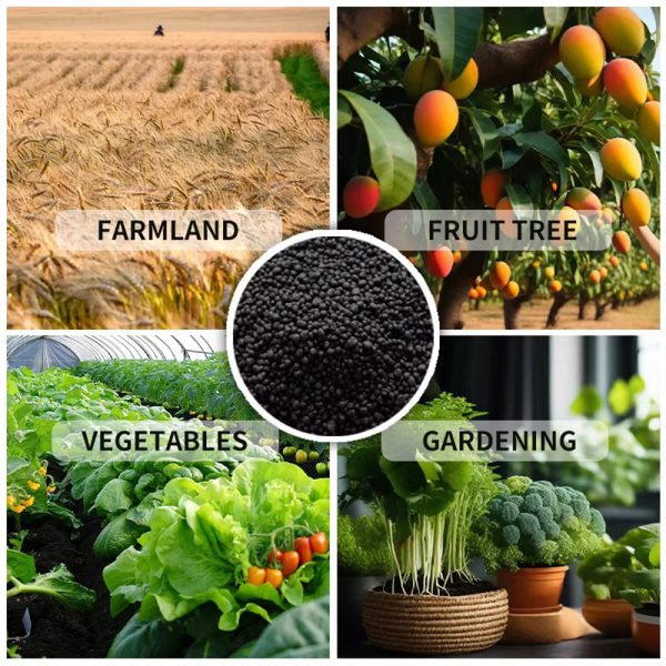 Small Molecule Organic Fertilizer - Image 7