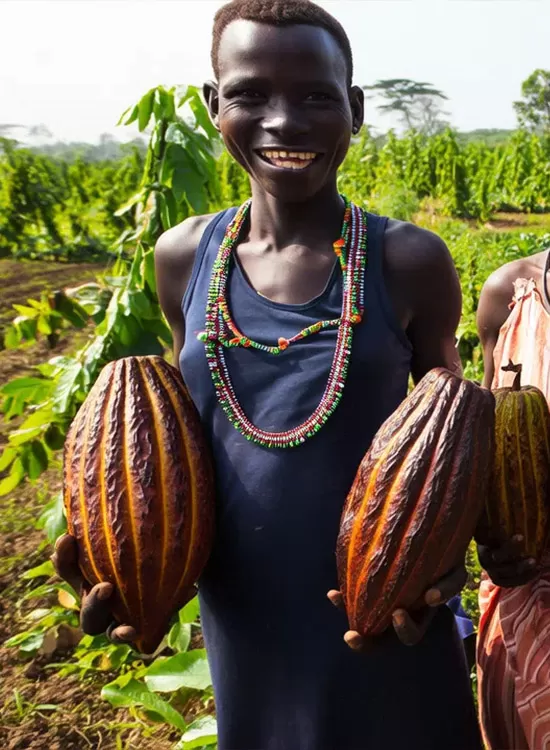 cocoa