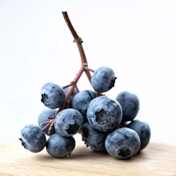 Blueberry