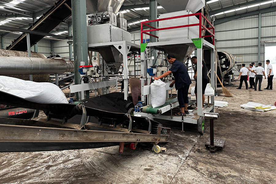 Ghanaian customers visit the factory3