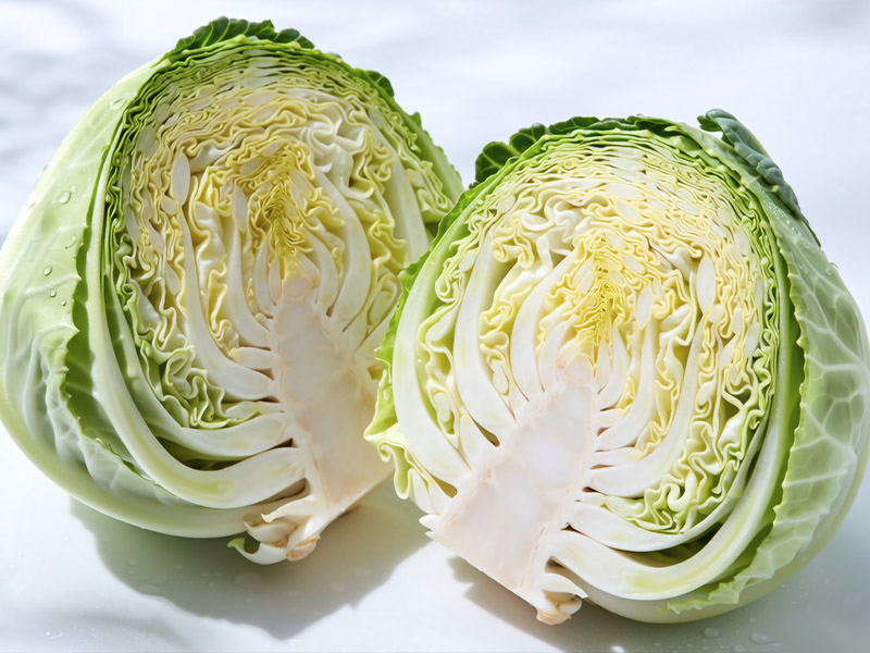 Cabbage 6