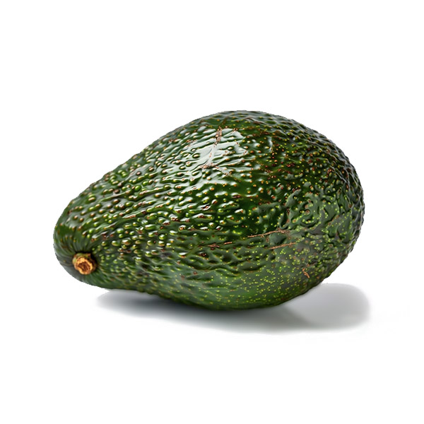 Avocado Avocado