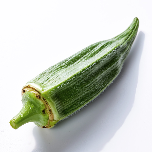 Okra 600