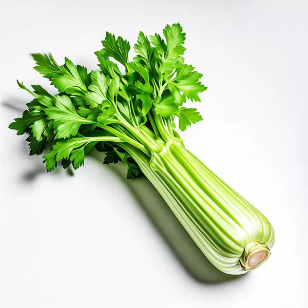 Celery 芹菜