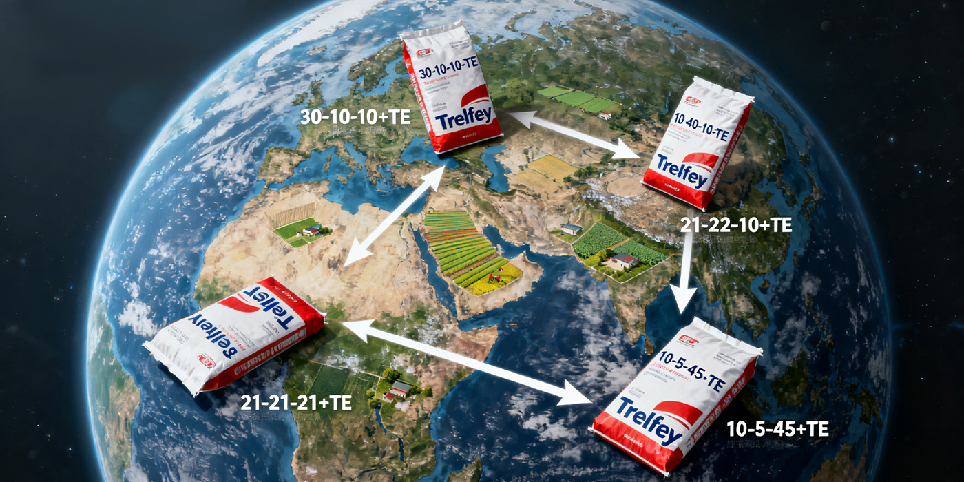 Best-selling all over the world