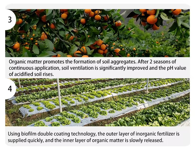 NPK Organic fertilizer4