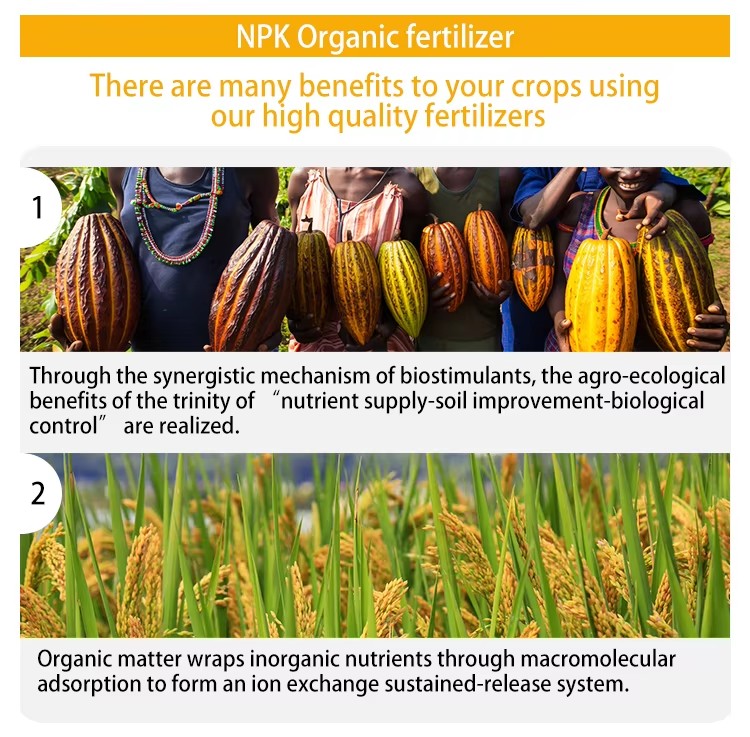 NPK Organic fertilizer3