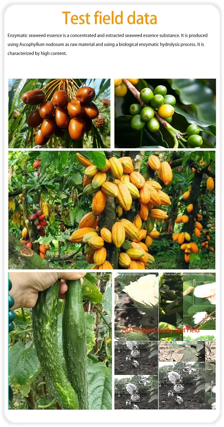NPK Organic fertilizer5