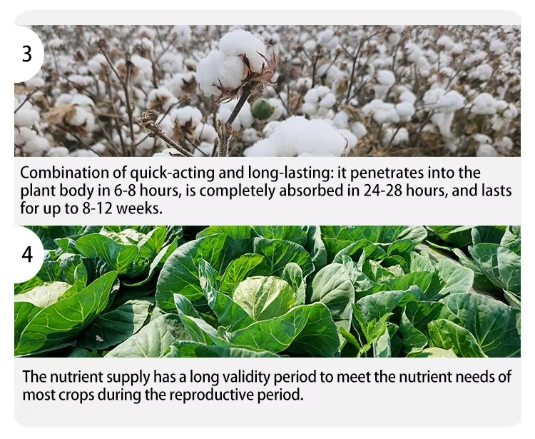 Liquid nitrogen fertilizer details3