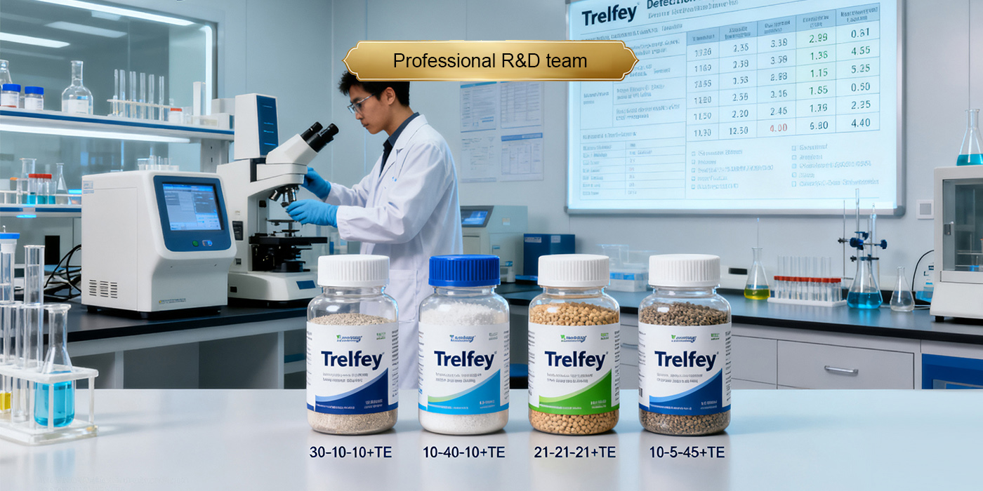 Professional R&D team1