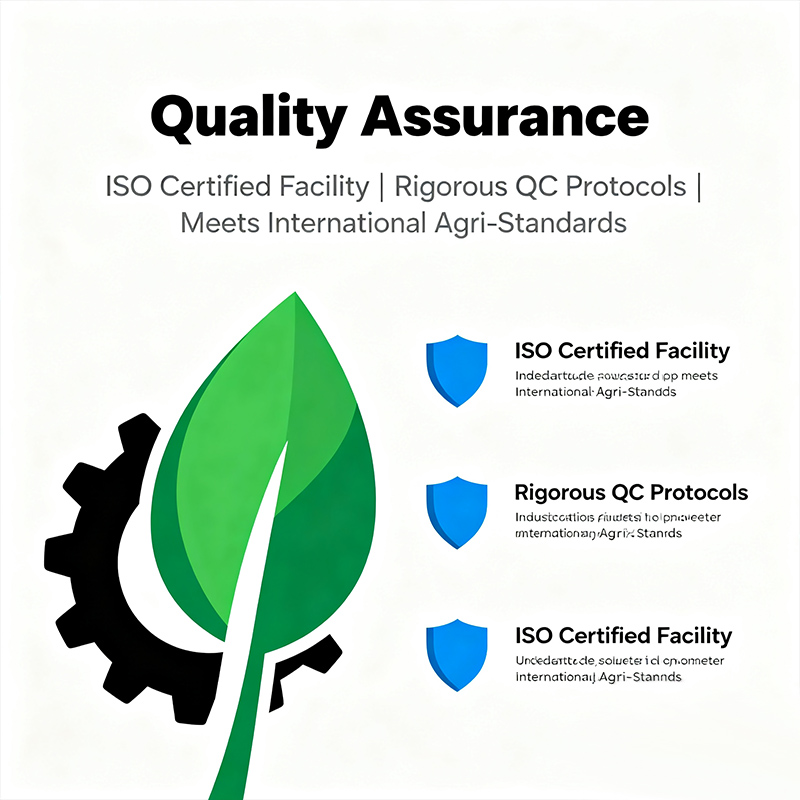 Quality Assurance