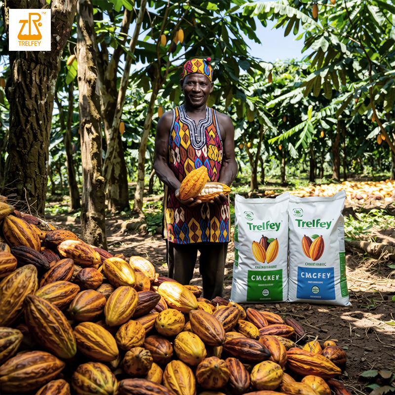 The Cocoa Growth Journey3