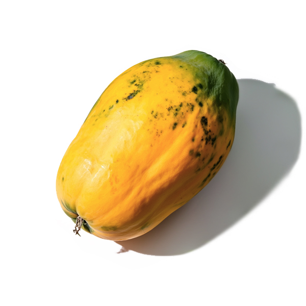 Papaya